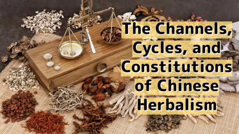 Cycles, Channels, and Constitutions in Chinese Medicine: A short course in Chinese meridians and constitutional types 